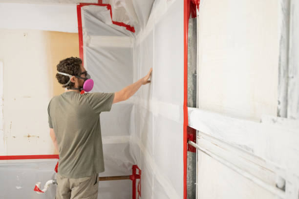 Best Mold Remediation for Rental Properties  in USA