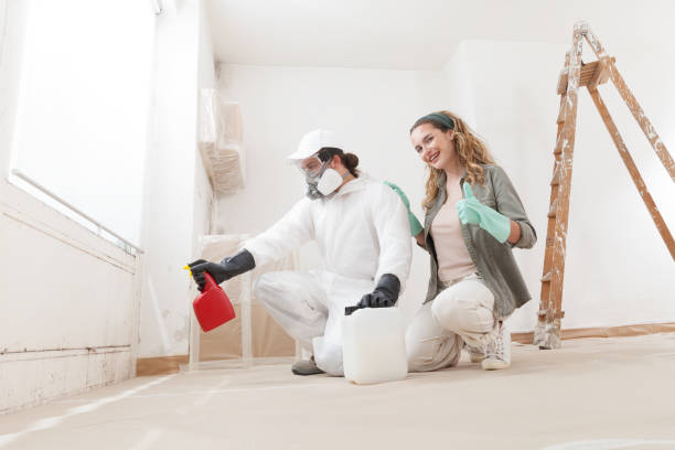 Best Residential Mold Inspection & Testing  in USA